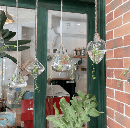 Glass Hanging Terrarium Vases