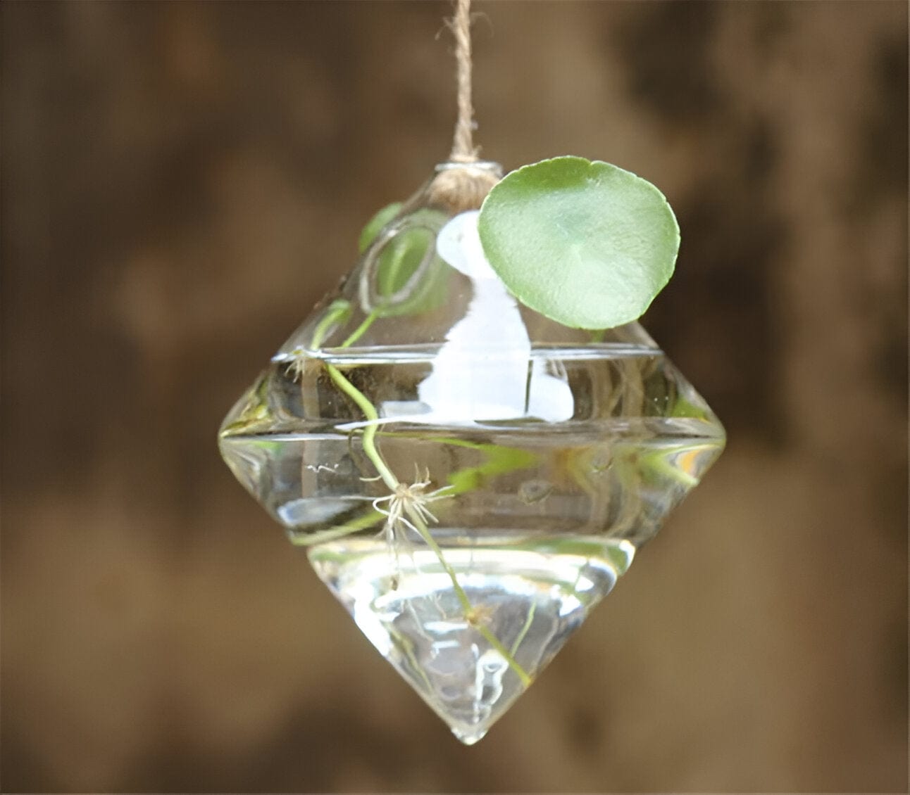 Glass Hanging Terrarium Vases