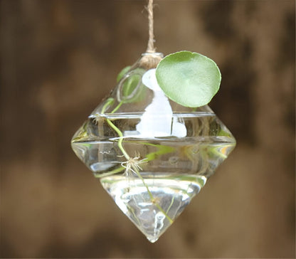 Glass Hanging Terrarium Vases