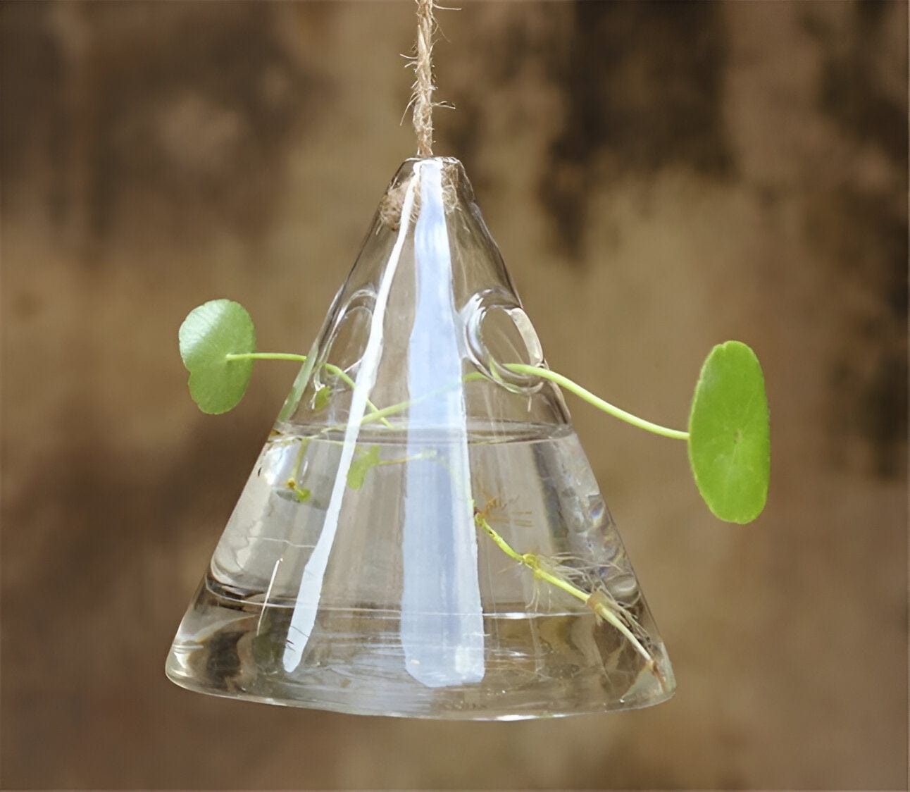 Glass Hanging Terrarium Vases