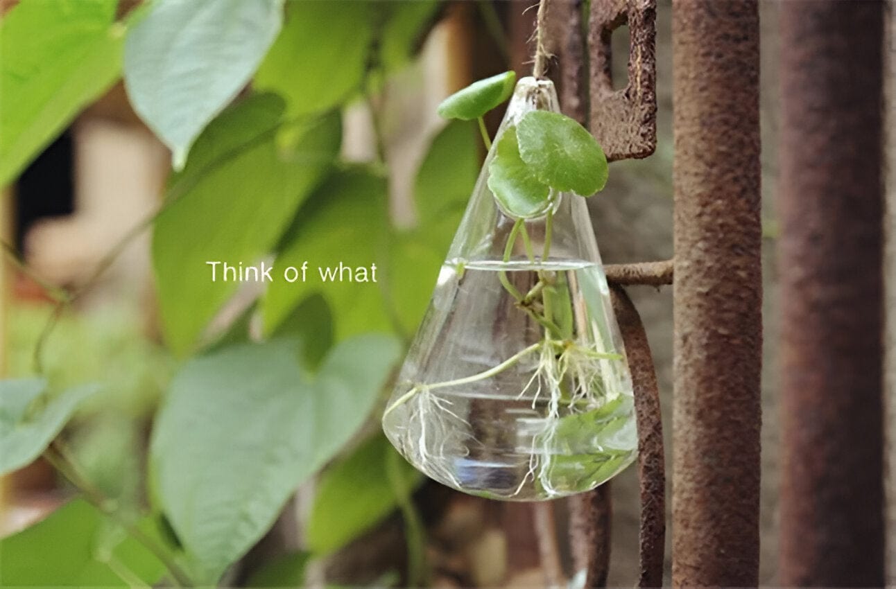 Glass Hanging Terrarium Vases