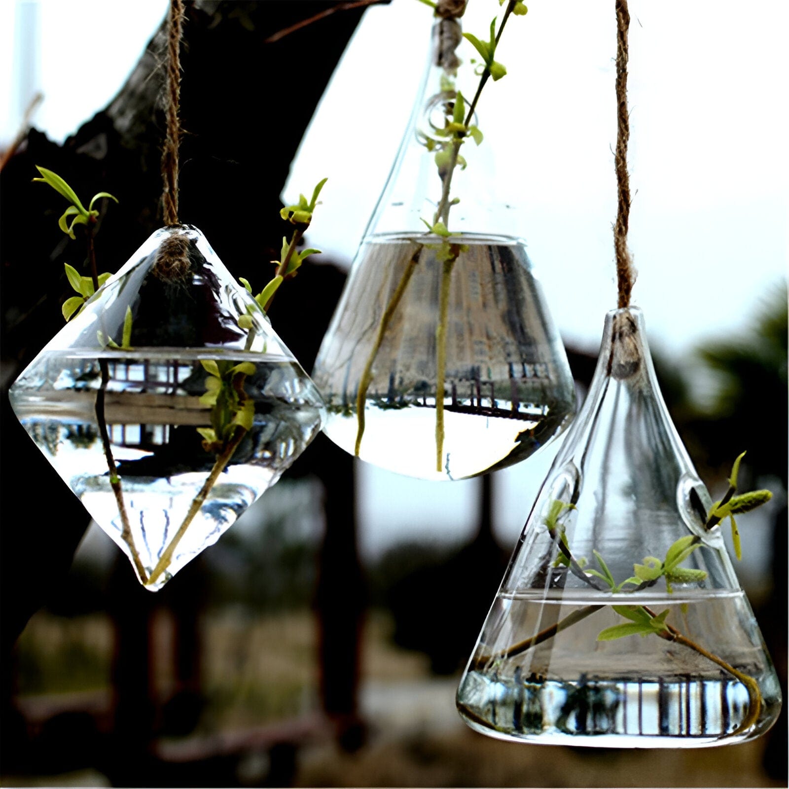 Glass Hanging Terrarium Vases