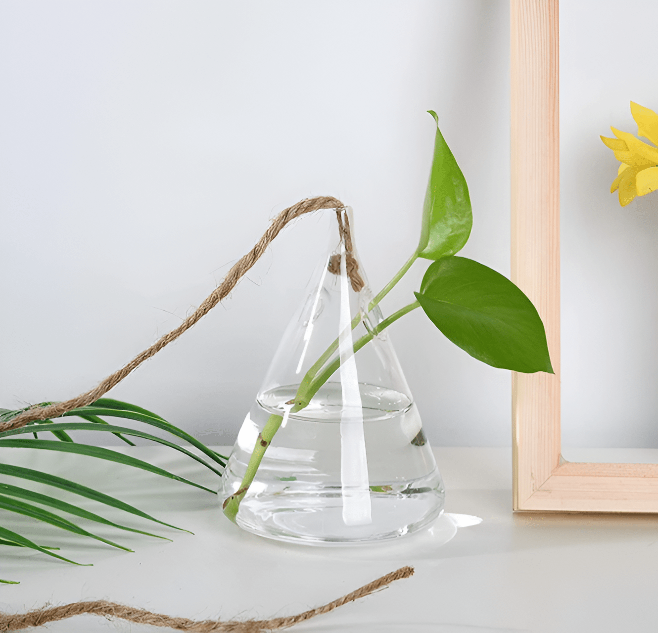 Glass Hanging Terrarium Vases