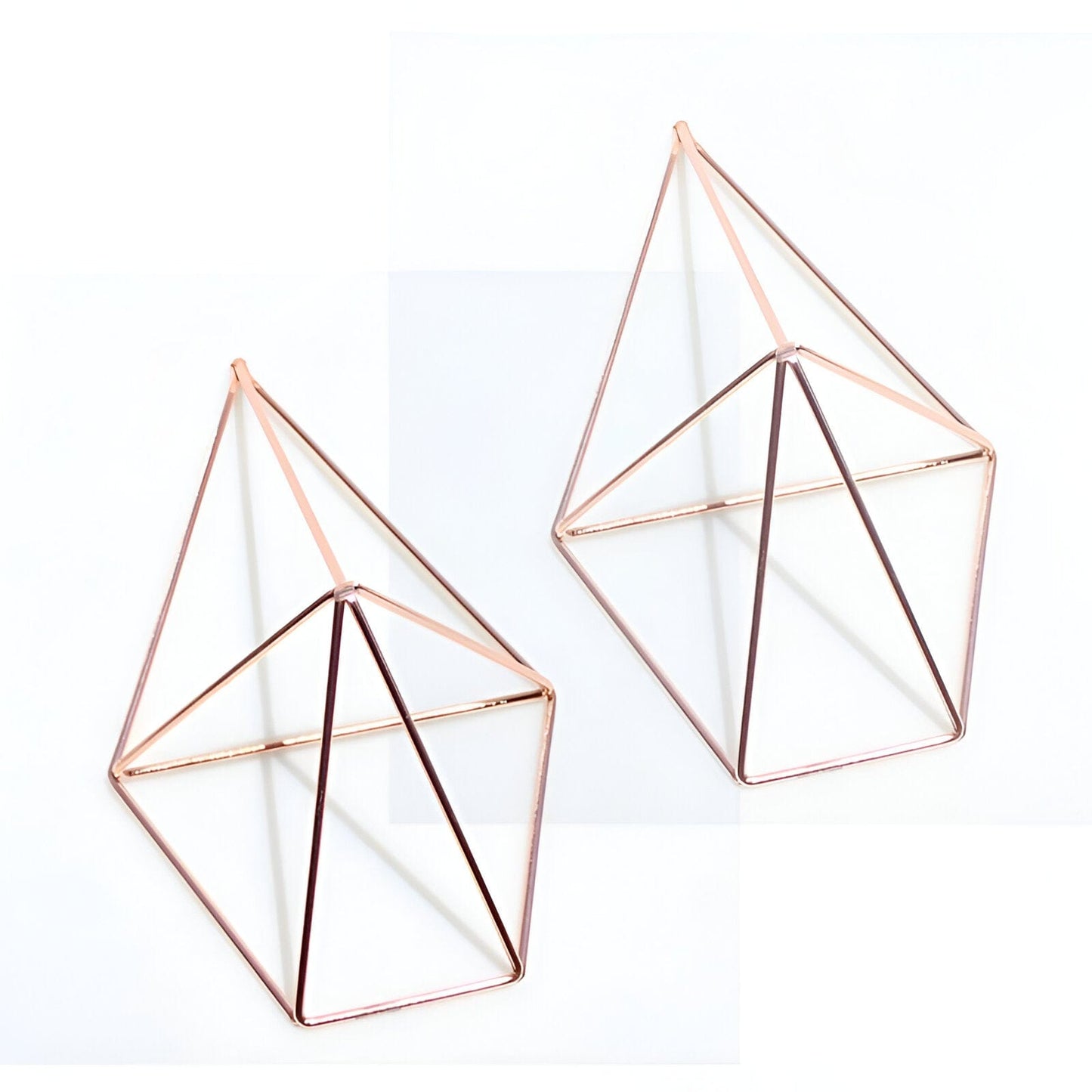 Geometric Wall-Mounted Air Plant Hangers