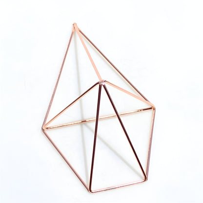 Geometric Wall-Mounted Air Plant Hangers