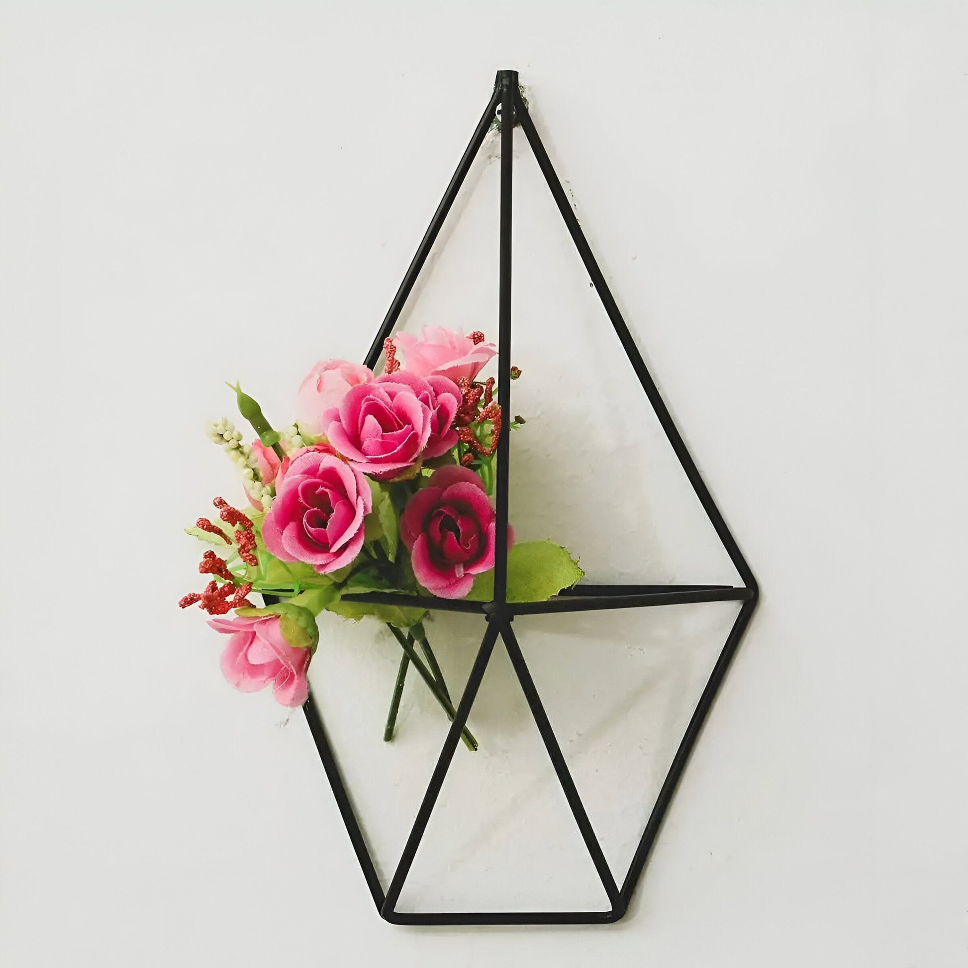 Geometric Wall-Mounted Air Plant Hangers