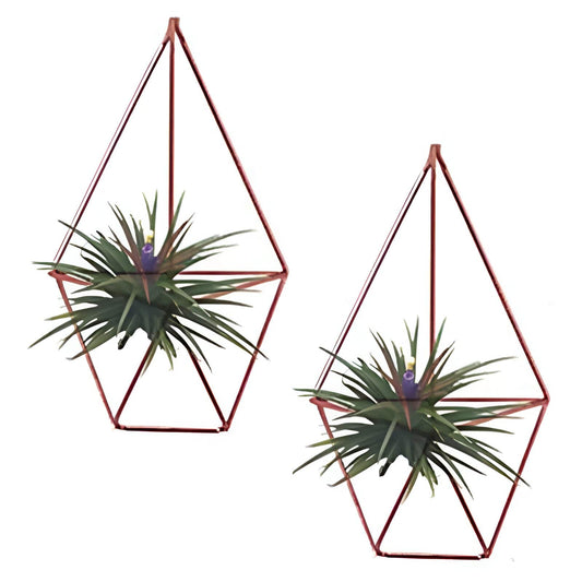 Geometric Wall-Mounted Air Plant Hangers