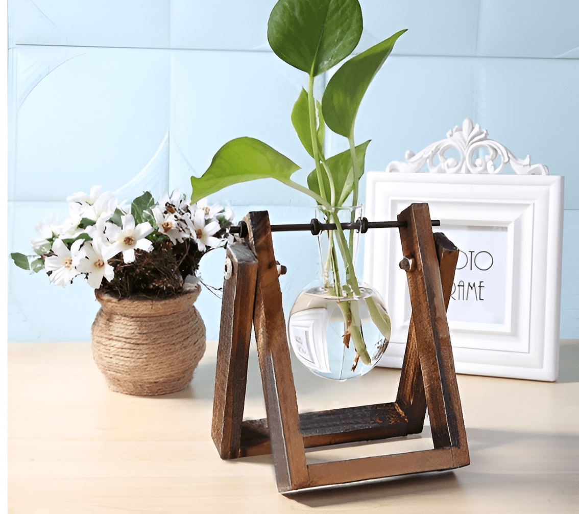 Glass Propagation Vase with A-Frame Wooden Stand