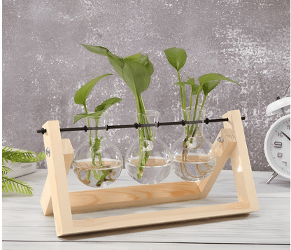 Glass Propagation Vase with A-Frame Wooden Stand