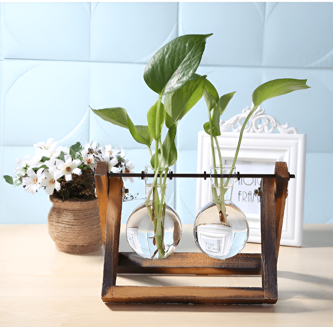 Glass Propagation Vase with A-Frame Wooden Stand