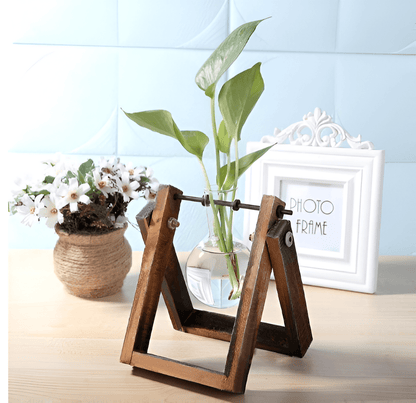 Glass Propagation Vase with A-Frame Wooden Stand