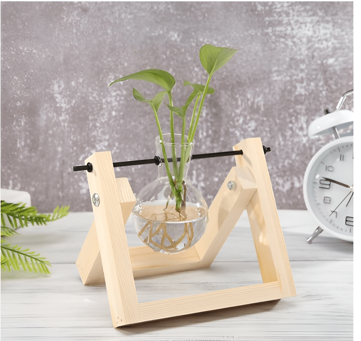 Glass Propagation Vase with A-Frame Wooden Stand