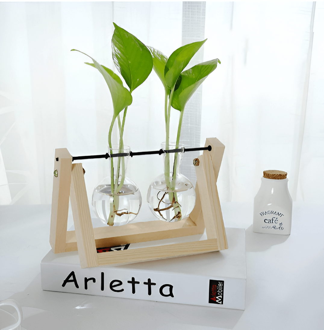 Glass Propagation Vase with A-Frame Wooden Stand