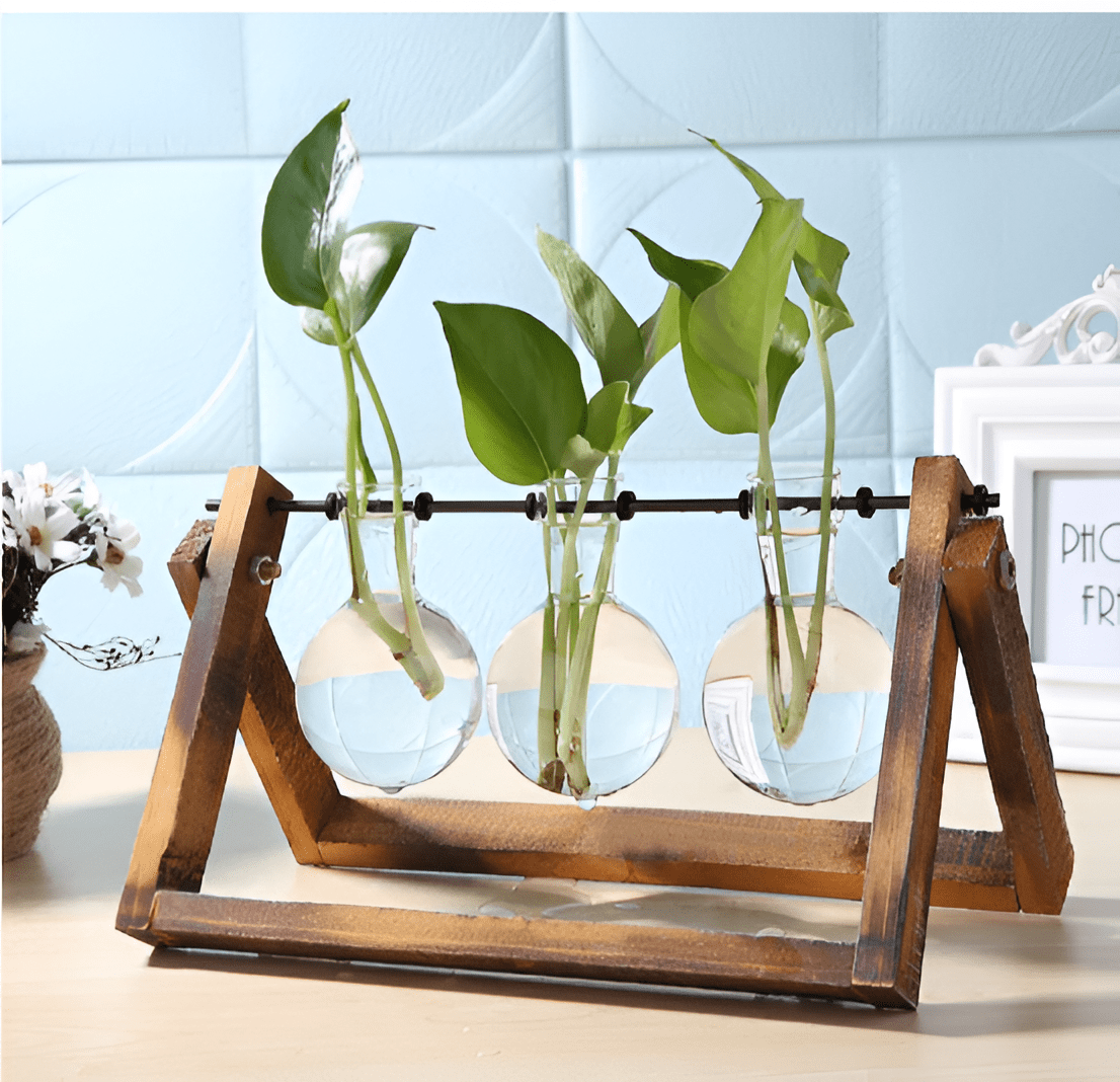 Glass Propagation Vase with A-Frame Wooden Stand