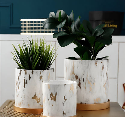   Golden Maze Flowers Pot Collection