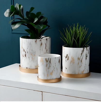   Golden Maze Flowers Pot Collection