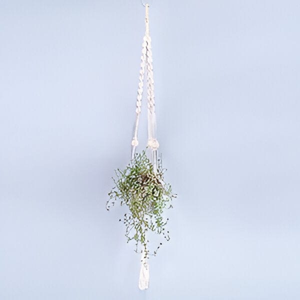 Handmade Boho Macrame Plant Hanger Set