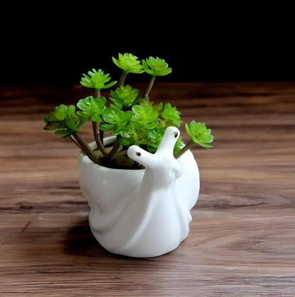 Succulents Mini Flower Pot