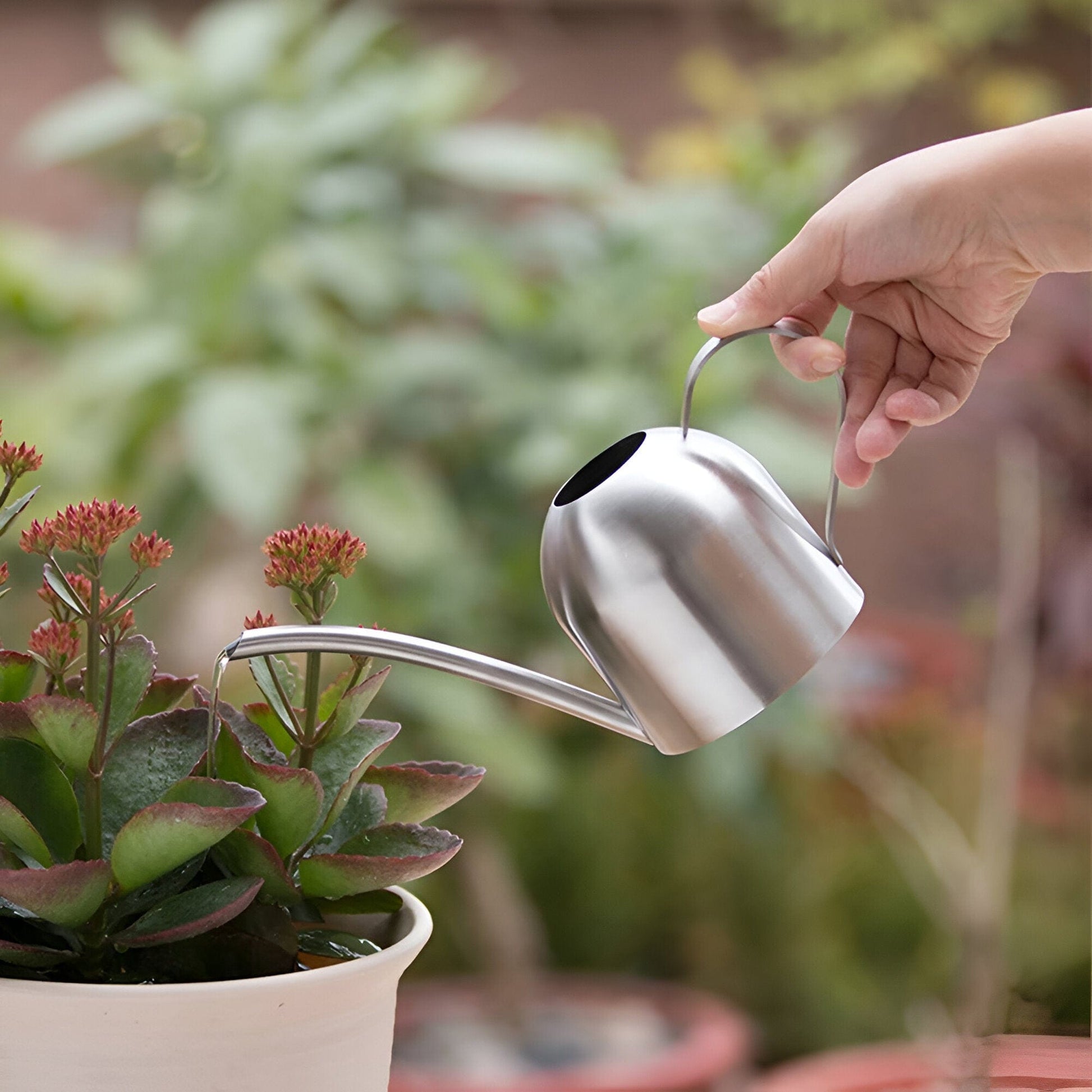 Gooseneck Dome Stainless Steel Watering Can