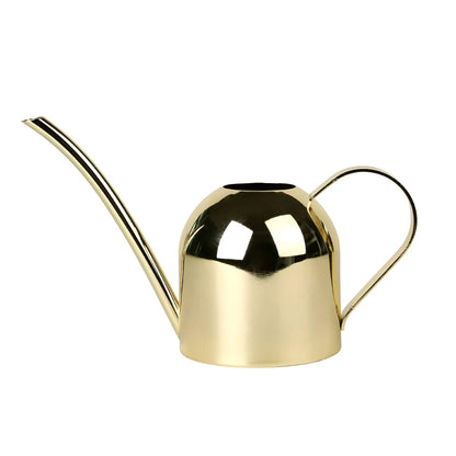 Gooseneck Dome Stainless Steel Watering Can