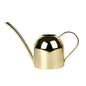 Gooseneck Dome Stainless Steel Watering Can