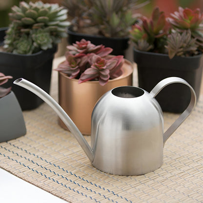 Gooseneck Dome Stainless Steel Watering Can