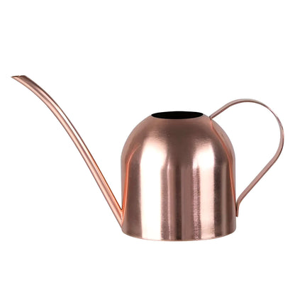 Gooseneck Dome Stainless Steel Watering Can