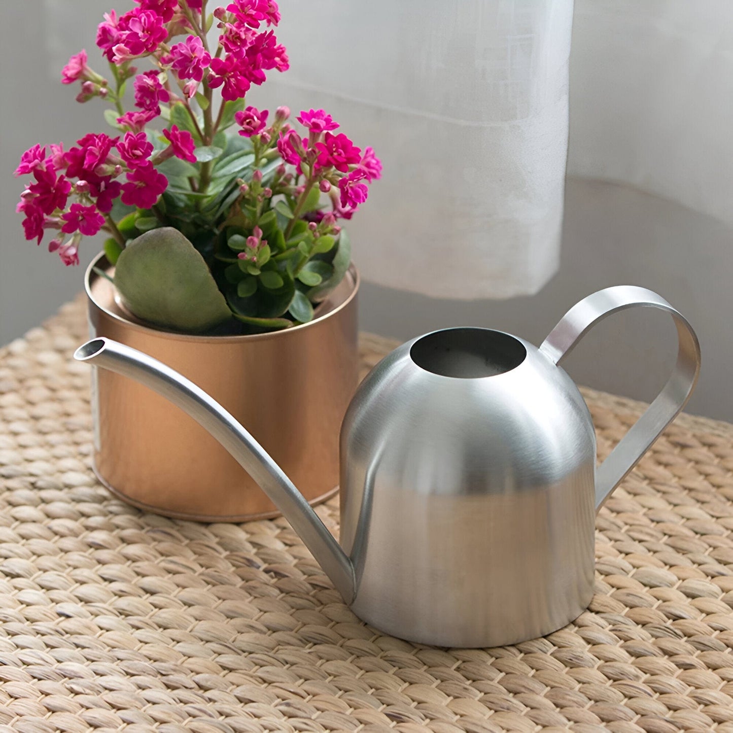 Gooseneck Dome Stainless Steel Watering Can