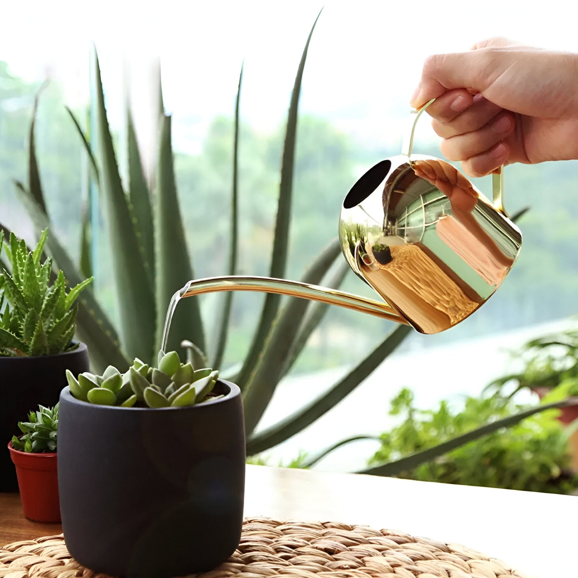 Gooseneck Dome Stainless Steel Watering Can