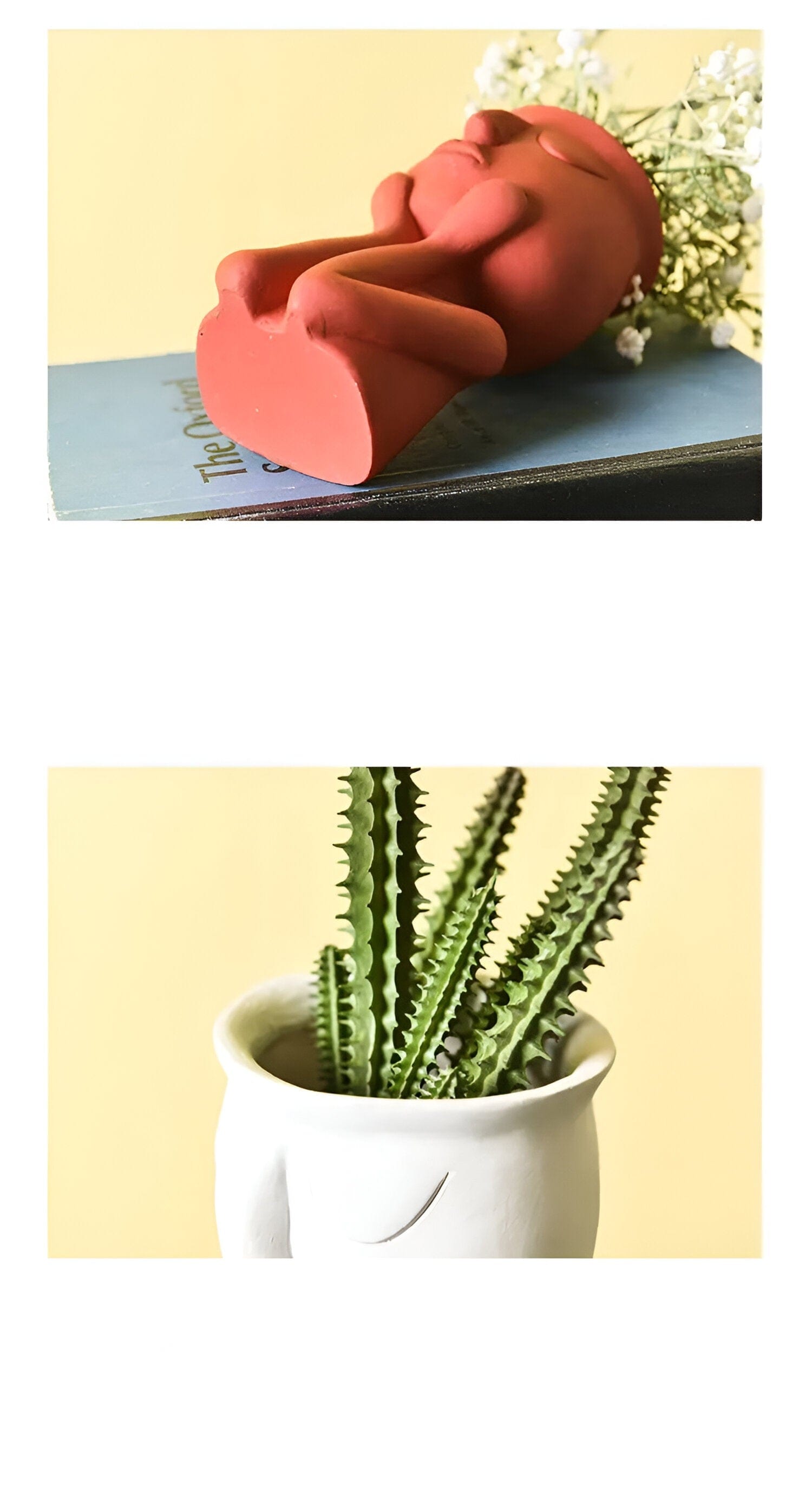 Cupping Face Resting Ceramic Planter