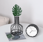 Test Tube Vase With Bottleneck Iron Stands