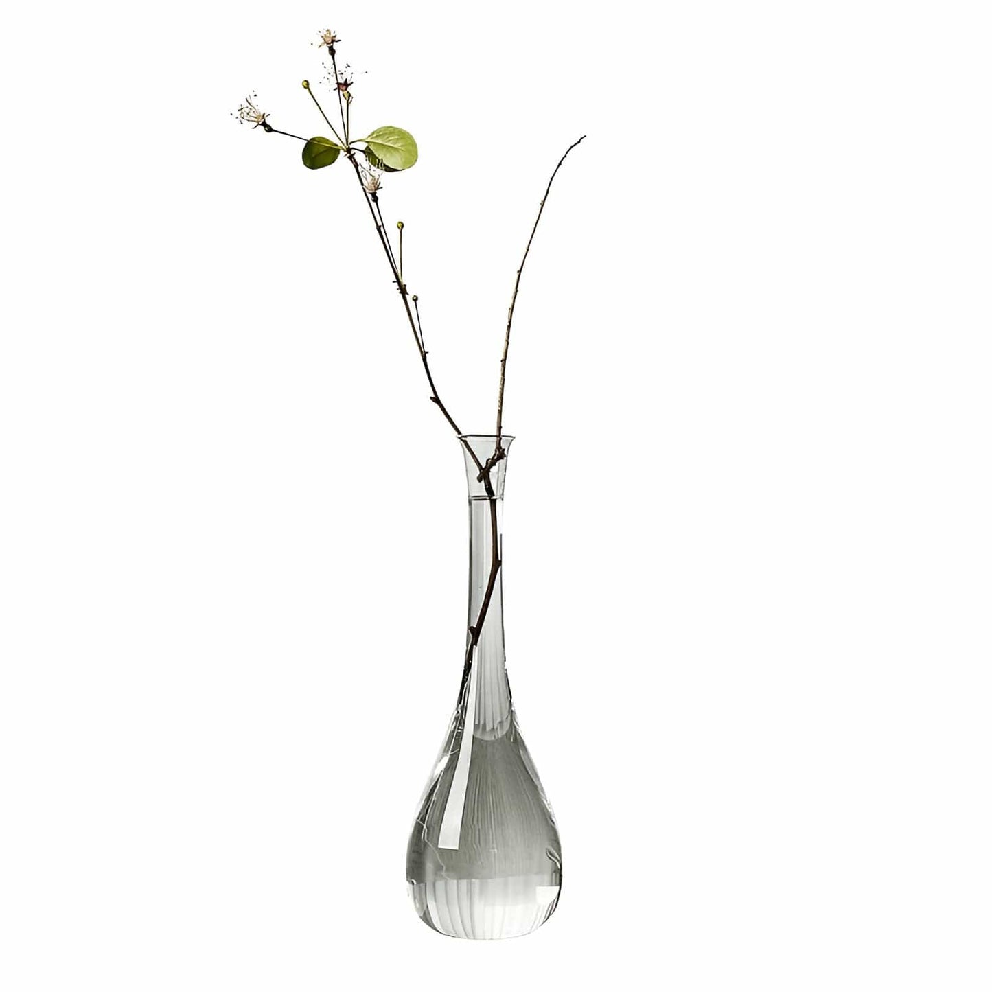 Hydroponic Small Vase