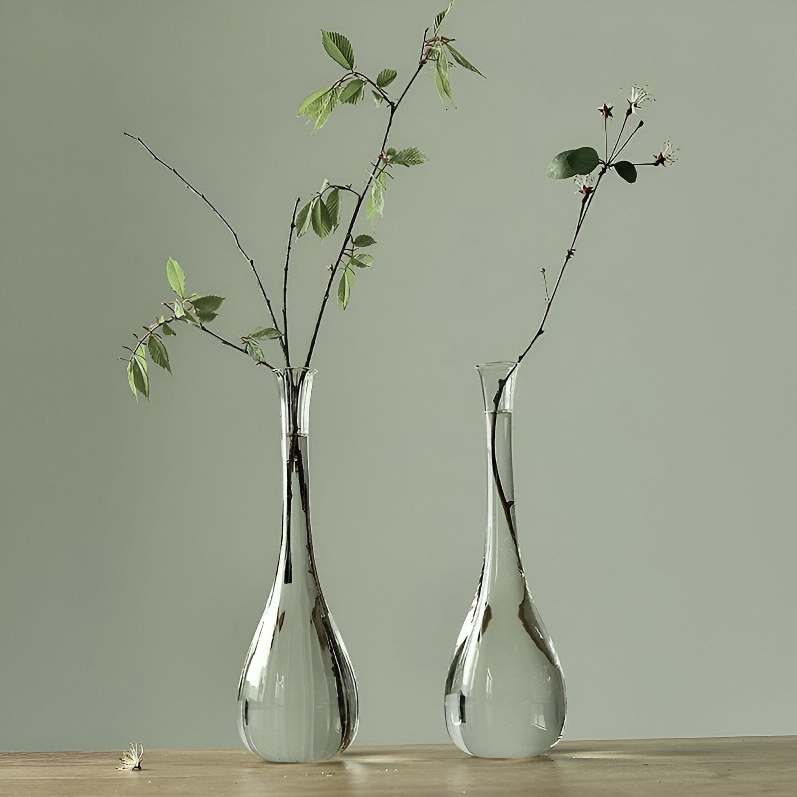 Hydroponic Small Vase