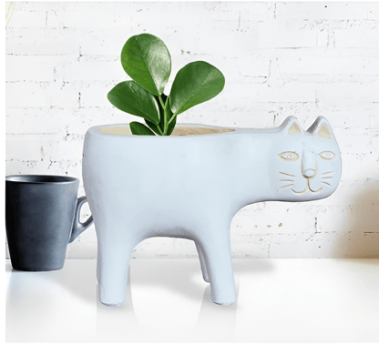 Marbled Ceramic Planter with Gold Metal Plant Stand