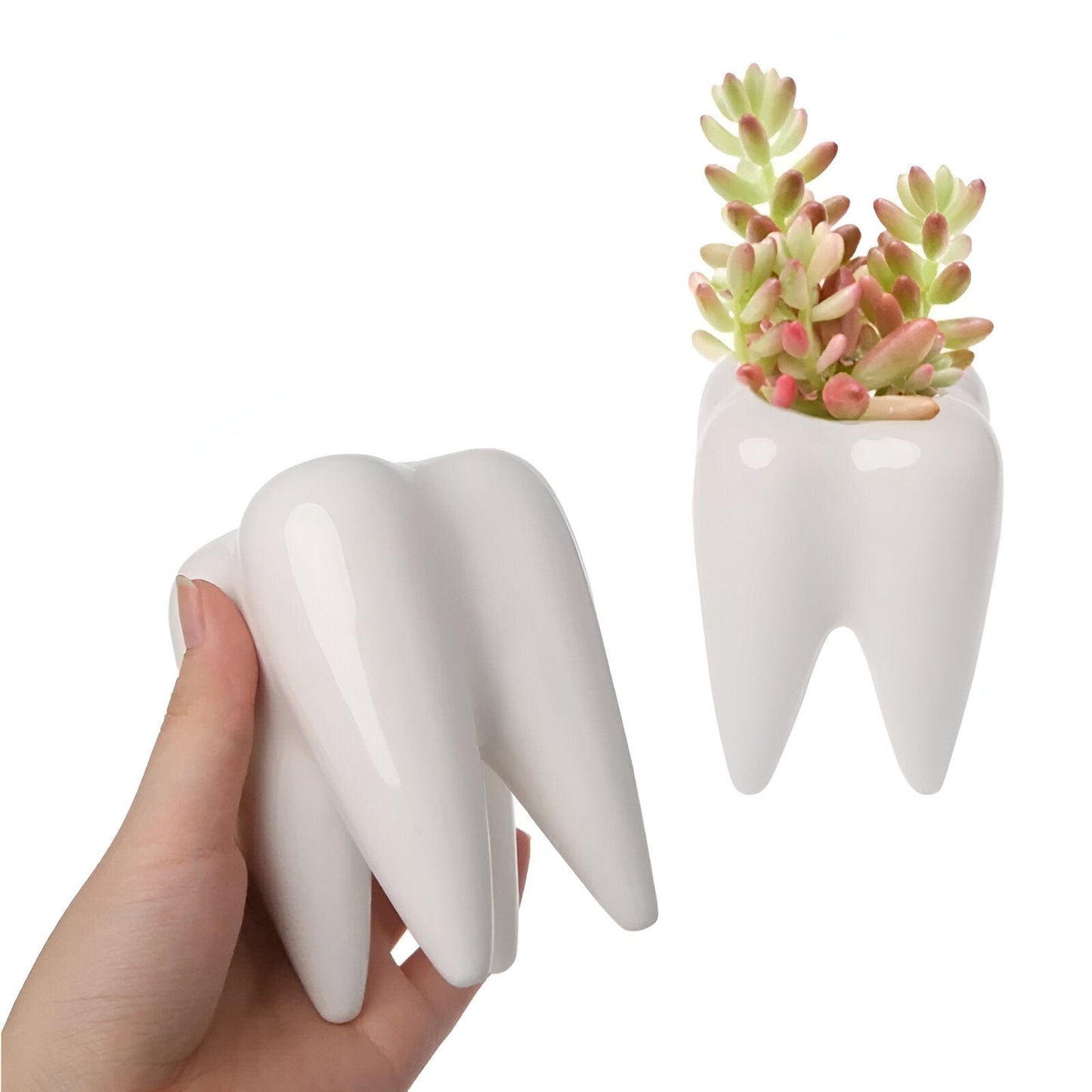 Ceramic Tooth Shape Vase