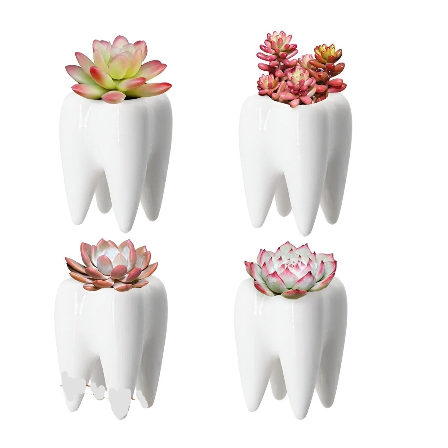 Ceramic Tooth Shape Vase