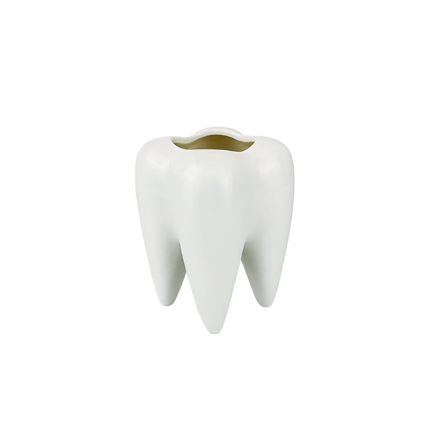 Ceramic Tooth Shape Vase