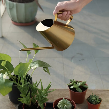  Plant Watering Can