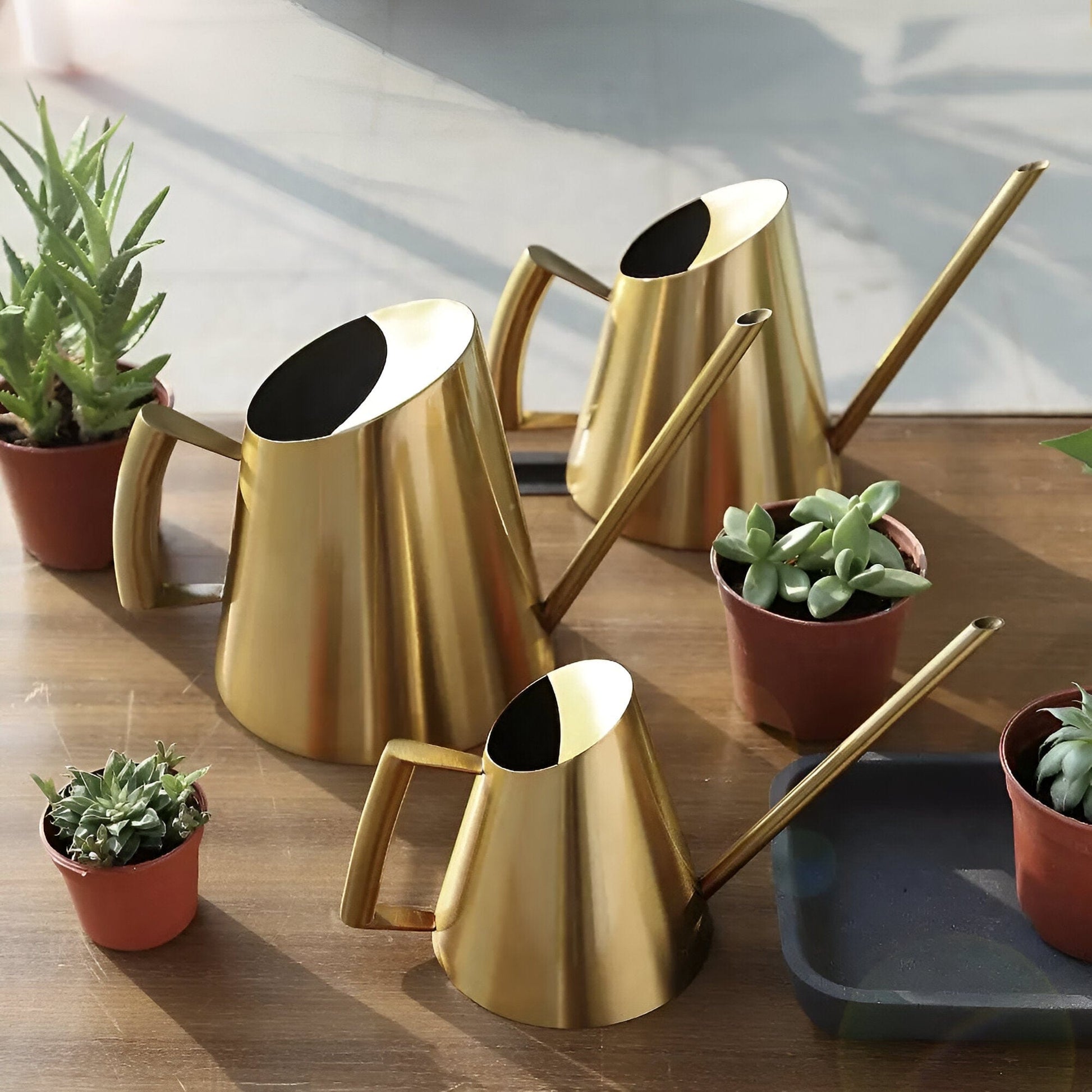  Plant Watering Can