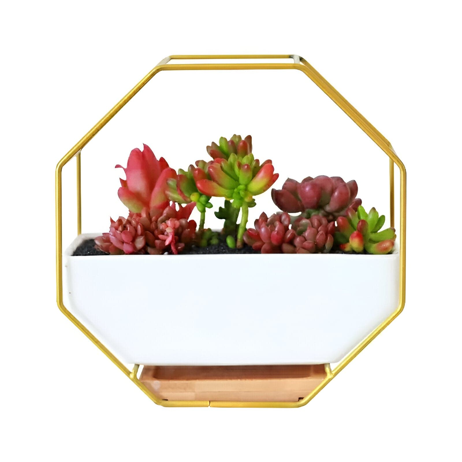 Geometric Ceramic Wall Planter with Octagonal Iron Frame