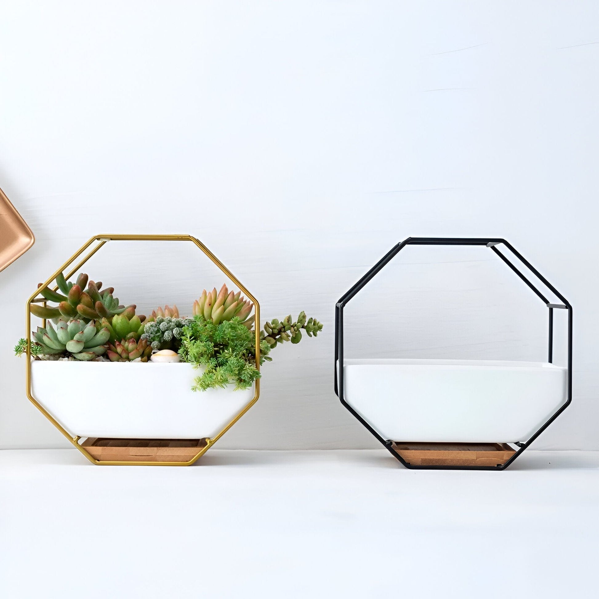 Geometric Ceramic Wall Planter with Octagonal Iron Frame