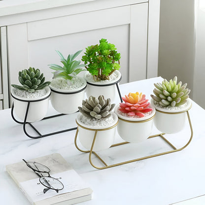 White Ceramic Succulent Planter Trio with Metal Sleigh Stand