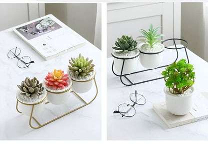 White Ceramic Succulent Planter Trio with Metal Sleigh Stand