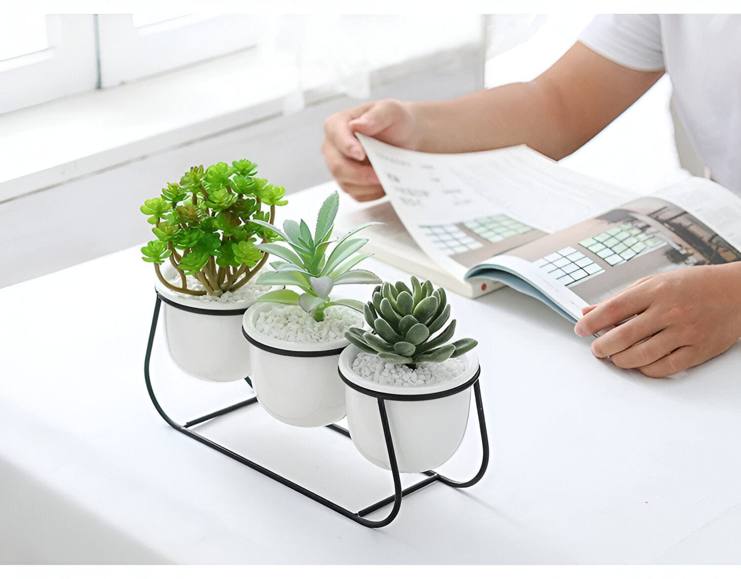 White Ceramic Succulent Planter Trio with Metal Sleigh Stand