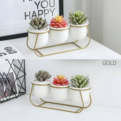 White Ceramic Succulent Planter Trio with Metal Sleigh Stand