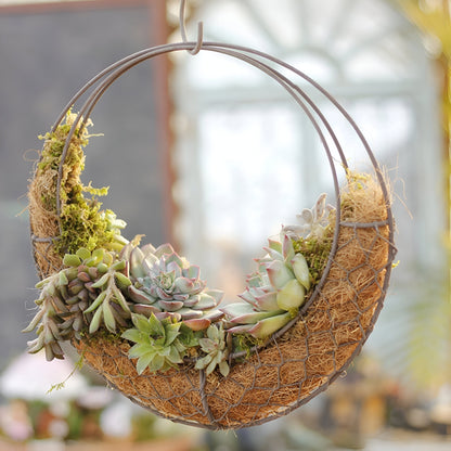 Home Succulent Hanging Pot