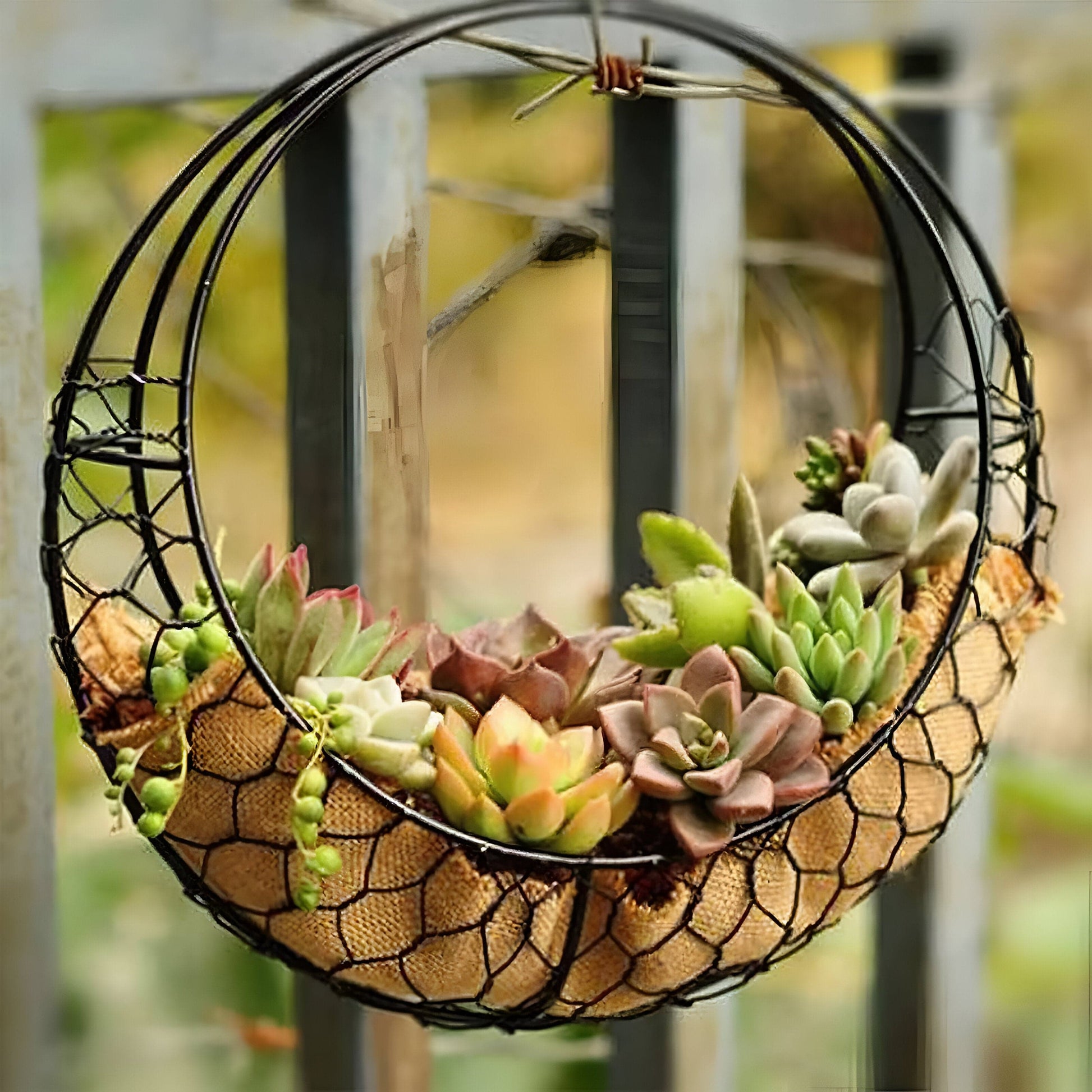 Home Succulent Hanging Pot