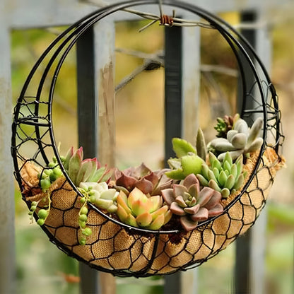 Home Succulent Hanging Pot