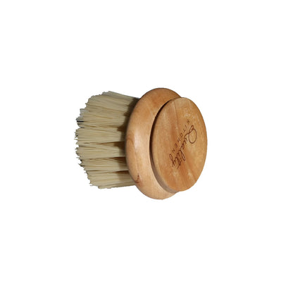 Beech Wood Dishwashing Brush