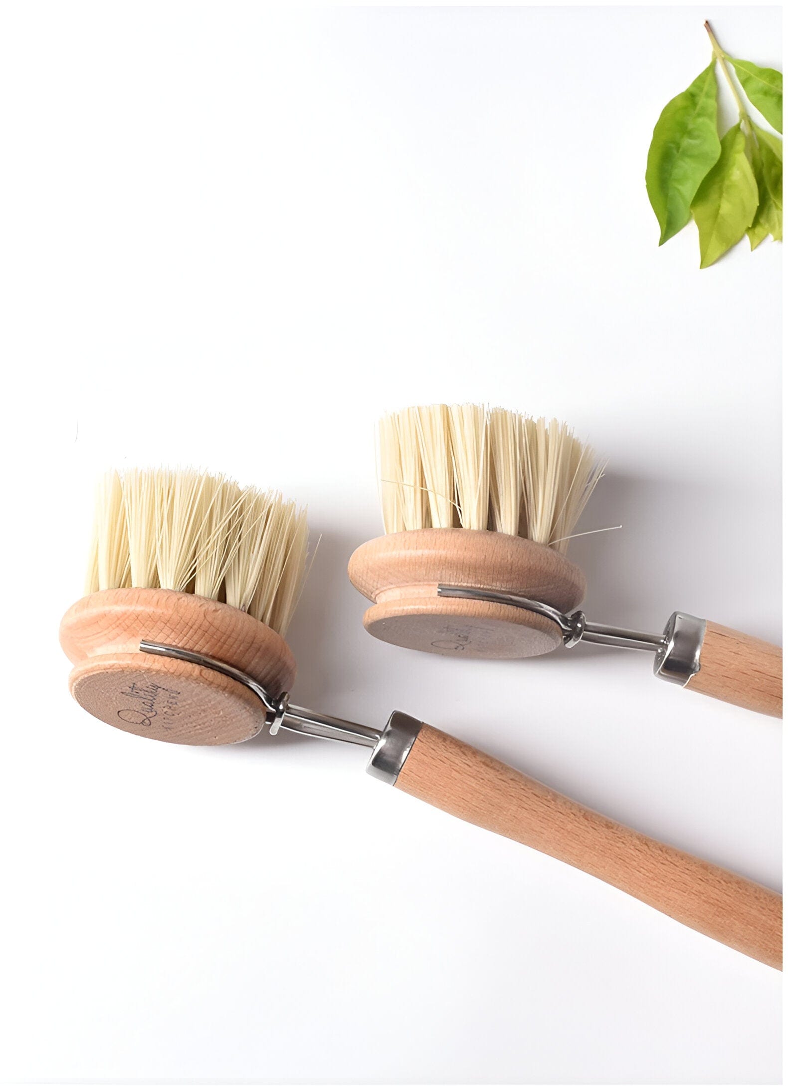 Beech Wood Dishwashing Brush